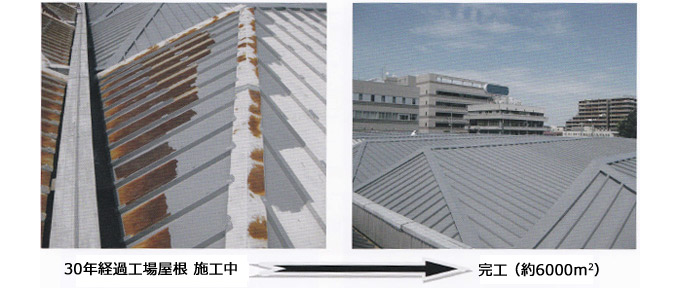 バッファーコート